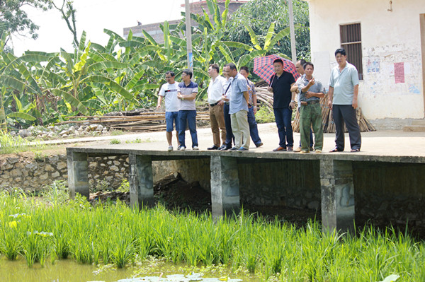 上林县象山工业园区领导一行前往集团水体治理示范点考察